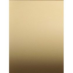 Folie Ikonos Grafityp Strukturalne Leder (Imitacja Skóry) + Deco 1,37x35m