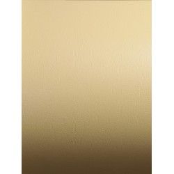 Folie Ikonos Grafityp Strukturalne Leder (Imitacja Skóry) + Deco 1,37x35m