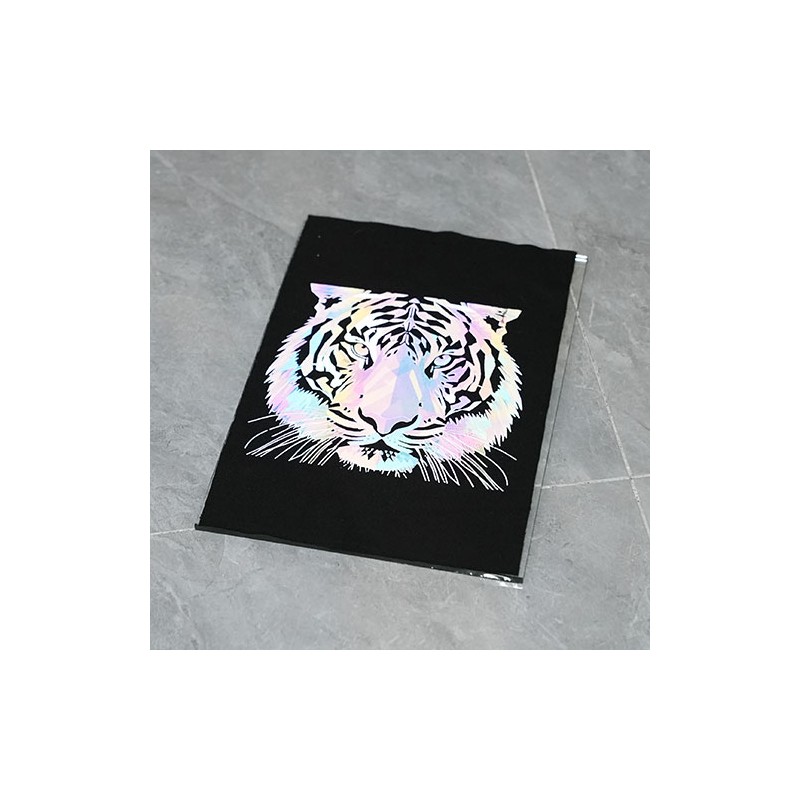 Folia Dtf X600 Colorfull Reflective 0,60x100m