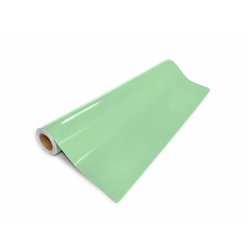 Folia Ploterowa Do Cięcia Ritrama Ri-Mark Translucent 667 LIGHT GREEN 1,22 x 1m