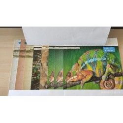 Tapeta Do Druku Embosowana Flizelinowa Ikonos Wall Premium Stucco1,067x50m  215g 344601